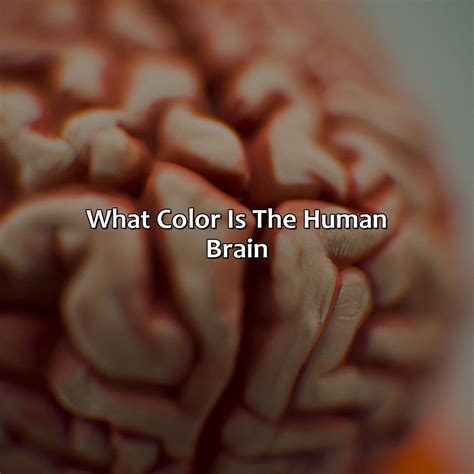 What Color Represents Bravery - colorscombo.com