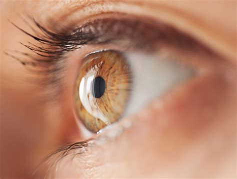 Understanding Brown Spots on Eyes: Causes, Symptoms, and Treatment Options - Opptrends 2025