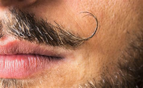 Mustache Growing Competitions: A Guide to Whiskered Glory - Beard Revue