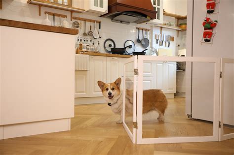 FairyBaby.Official (@fairybaby.official) • Instagram photos and videos