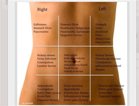 What Causes Right Quadrant Pain at Lisa Mccoy blog