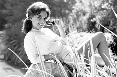 Dawn Wells Fake Nudes