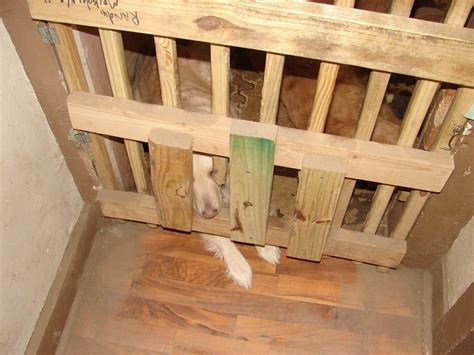 Ashland County Municipal Court Archives - Holland & Muirden, Attorneys ...