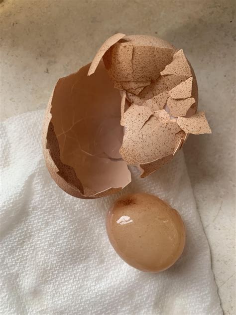 Egg inside an egg : r/eatityoufuckingcoward