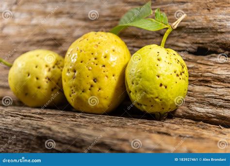 Yellow Guava Fruits Isolated on Aged Wooden Background Stock Image ...