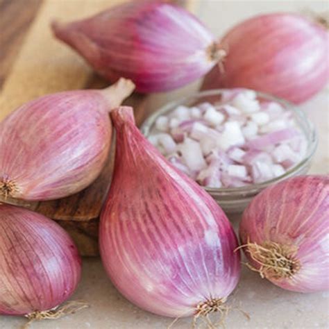 Fresh Shallots 3 Lbs Roasted Shallots Shallot Onion Sweet - Etsy