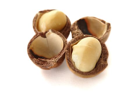 13 Best Low-Carb Nuts and Seeds for Your Keto Diet