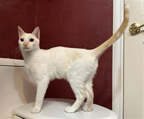 Monaghan - Motley Zoo Animal Rescue