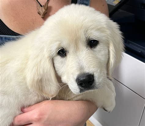 About | Vogel Veterinary Hospital