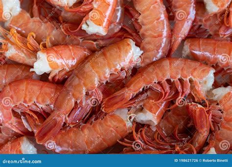 Frozen Argentine Red Shrimp Stock Photo - Image of healthy, patagonia ...