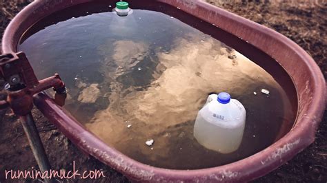How To Keep Outdoor Water Tank From Freezing at Gary Norris blog