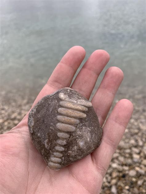 Found in Door County, Wisconsin. I was able to identify everything we found except for this ...