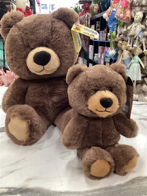 pookie bear plush | Donna's Flower Shop | Penrith Florist