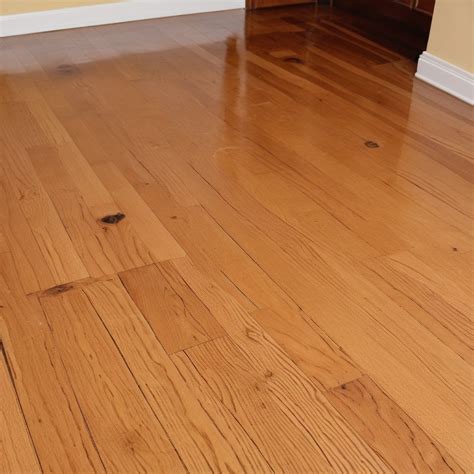 How to Remove Pet Urine Smell from Hardwood Floors: The Complete ...