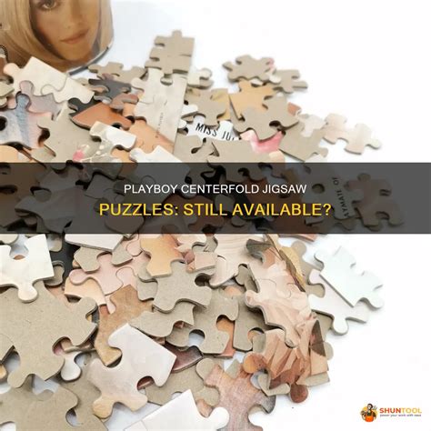 Playboy Centerfold Jigsaw Puzzles: Still Available? | ShunTool