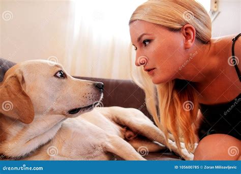 Woman with Dogs. the Dog Gives a Paw Her Female Owner on Sofa Stock ...
