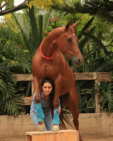 Pin by james r on Horses | Unusual animal friendships, Animals mating ...