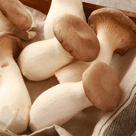 15 Mushrooms and How to Use Them in Vegan Cooking | VegNews