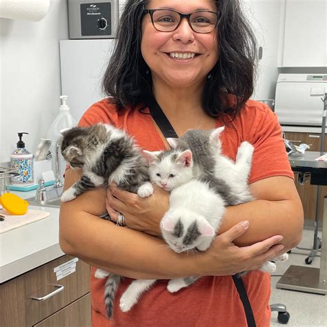 About Fostering — Naperville Area Humane Society