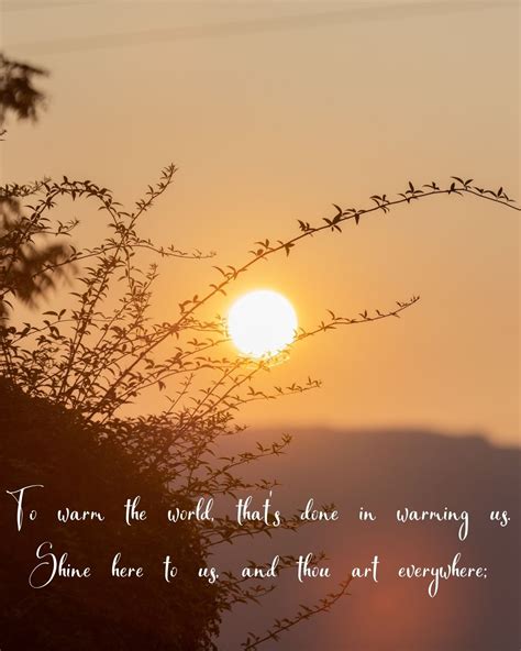 Sunshine Poem Inspiration: 29 Bright Selections - Aestheticpoems