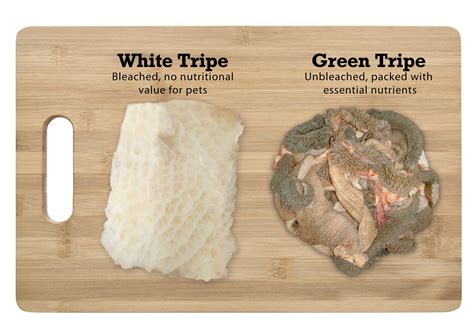 Why Feed Green Tripe? - PetKind Pet Products