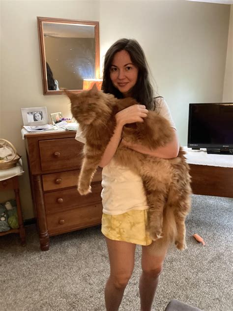 Does anyone’s Maine Coon have an underbite… : r/mainecoons