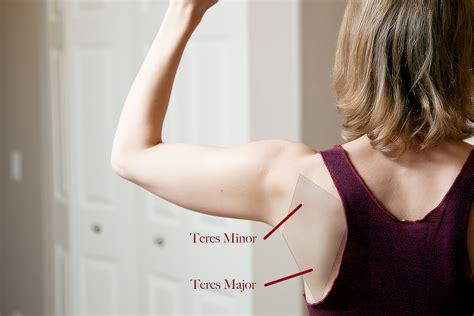 Teres Major Muscle Pain