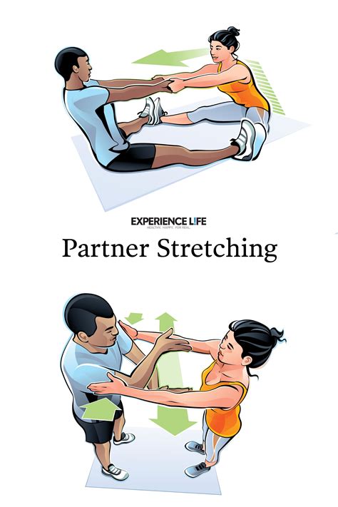 Partner Stretching | Partner stretches, Fun workouts, Workout