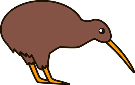 Kiwi Bird Clipart