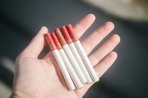 How To Keep Cigarettes Fresh With Simple Storage Tips - Discount Smokes