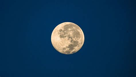 Panty+Pulled+Aside Photos, Download The BEST Free Panty+Pulled+Aside ...