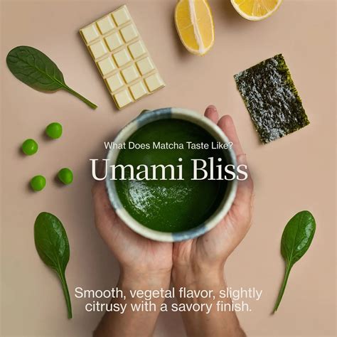 Matcha Advent Calendar with Free Worldwide Shipping - Nio Teas