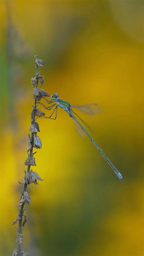 Little+Tiny+Tit+Lesbians Videos, Download The BEST Free 4k Stock Video ...