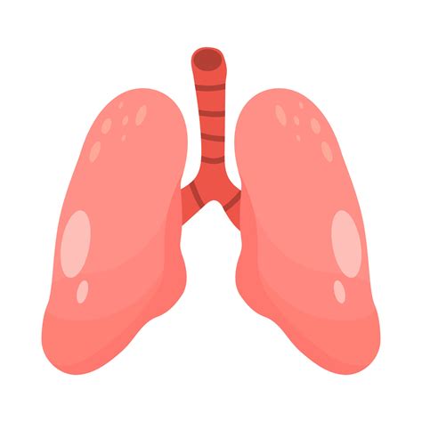 human Lungs vector clip art icon. COPD vector illustration, chronic ...