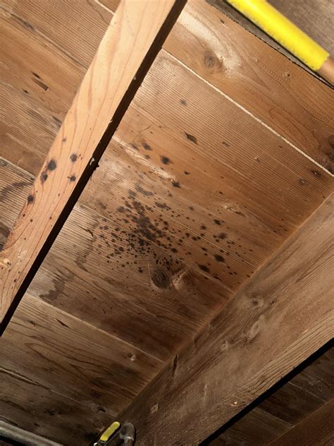 Cleaning Mildew Off Wood