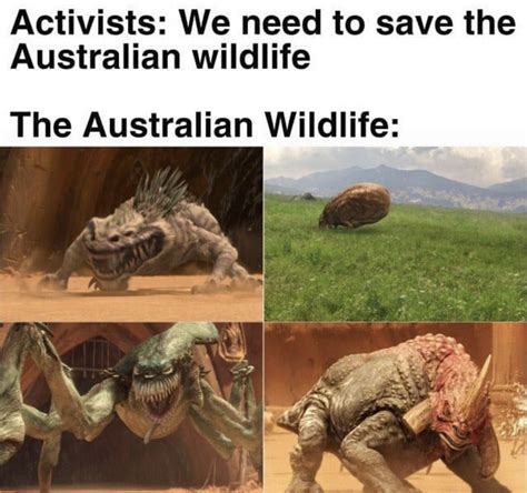 Pin by Jill Watts on Maylee | Funny relatable memes, Aussie memes, Funny jokes