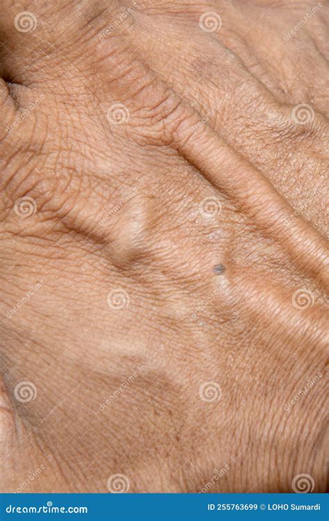 Close-up of Veins, Looks Protruding, Male Hands Stock Image - Image of looks, veins: 255763699