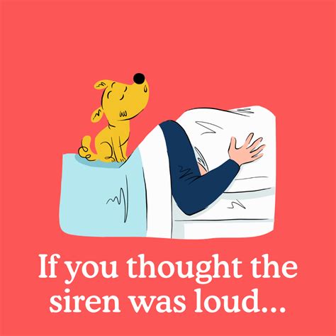 Why Is My Dog Is Jerking? 9 Reasons Why - Zigzag