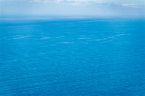 Big+Butts+In+Thongs Photos, Download The BEST Free Big+Butts+In+Thongs ...