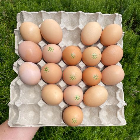 Eggs Pasture Raised
