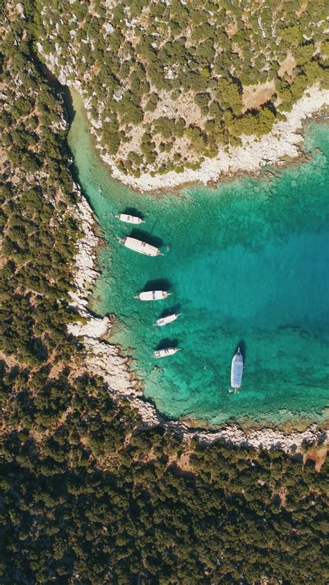 Kinnar+Ki+Video+Xx+Xx Videos, Download The BEST Free 4k Stock Video Footage & Kinnar+Ki+Video+Xx ...