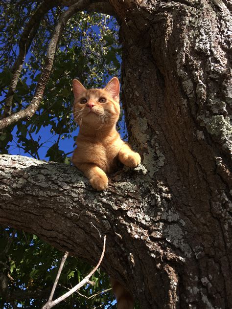 2479 best Poets images on Pholder | Taylor Swift, Pornhub Comments and ...