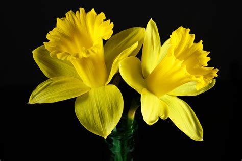 Lacey Laid Nudes Photos, Download The BEST Free Lacey Laid Nudes Stock Photos & HD Images