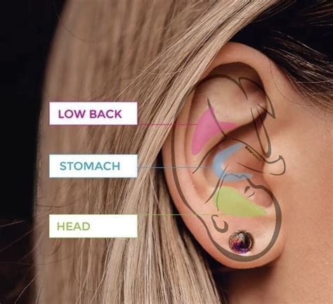 Ear Seeds: Do They Really Work? — Life Point Acupuncture