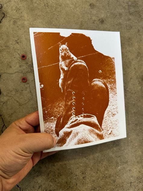 Peter Warshall: Squirrels on Earth and Stars Above Book - Cactaceae ...