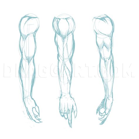 How To Draw Muscles, Drawing, Step by Step, by KingTutorial - DragoArt