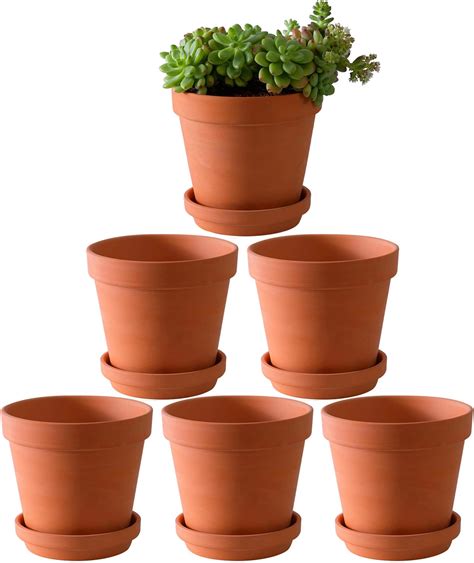 Amazon.com: 6 inch Terracotta & Clay Pots for Plants with Saucer, Medium Terra Cotta Plant Pots ...