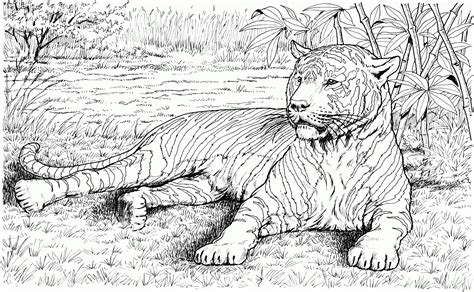 Realistic Animal Coloring Pages