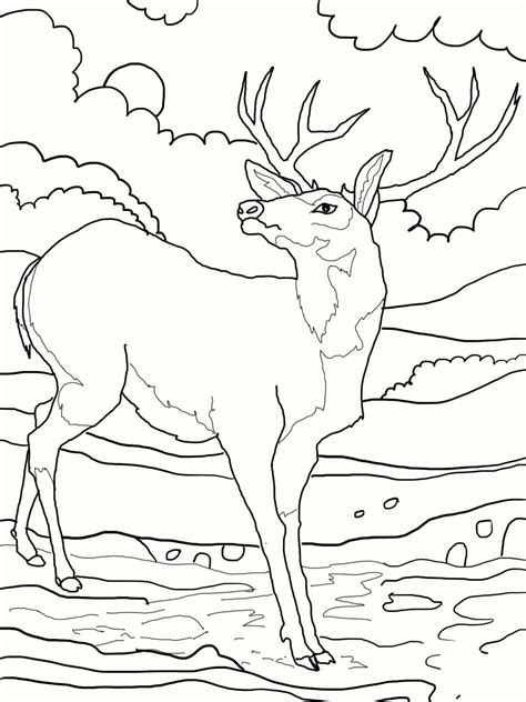 Deer Coloring Pages For Your Little Ones - Coloring Pages
