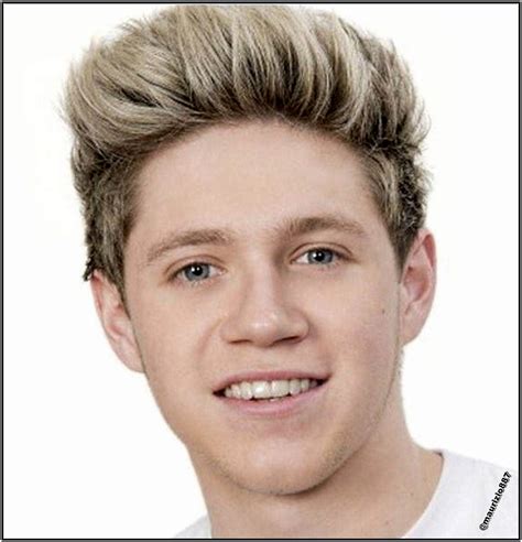 One Direction Niall Horan Biography